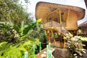 Salaca Bamboo house